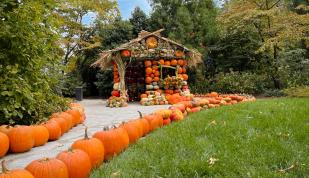 Dixon Gardens and Gallery Pumpkin House. A fun fall and halloween site to see.  Photo