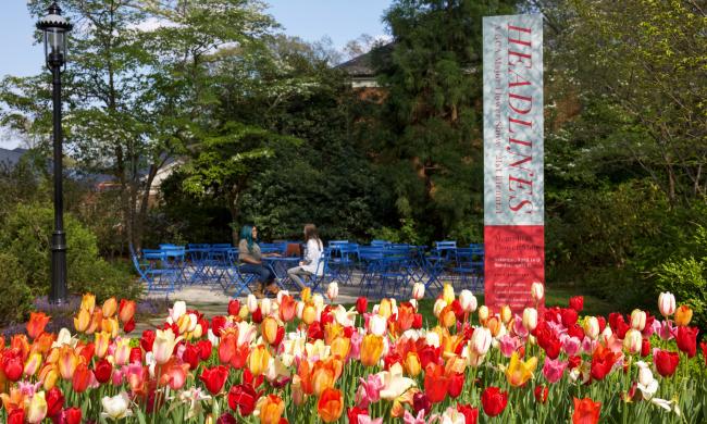 Tulip garden at Dixon Gallery and Gardens.