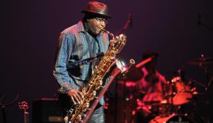 International blues challenge saxophone player